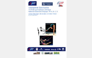 Résultats - Compétition de zone ensembles Nationaux + IR - Demi/finale